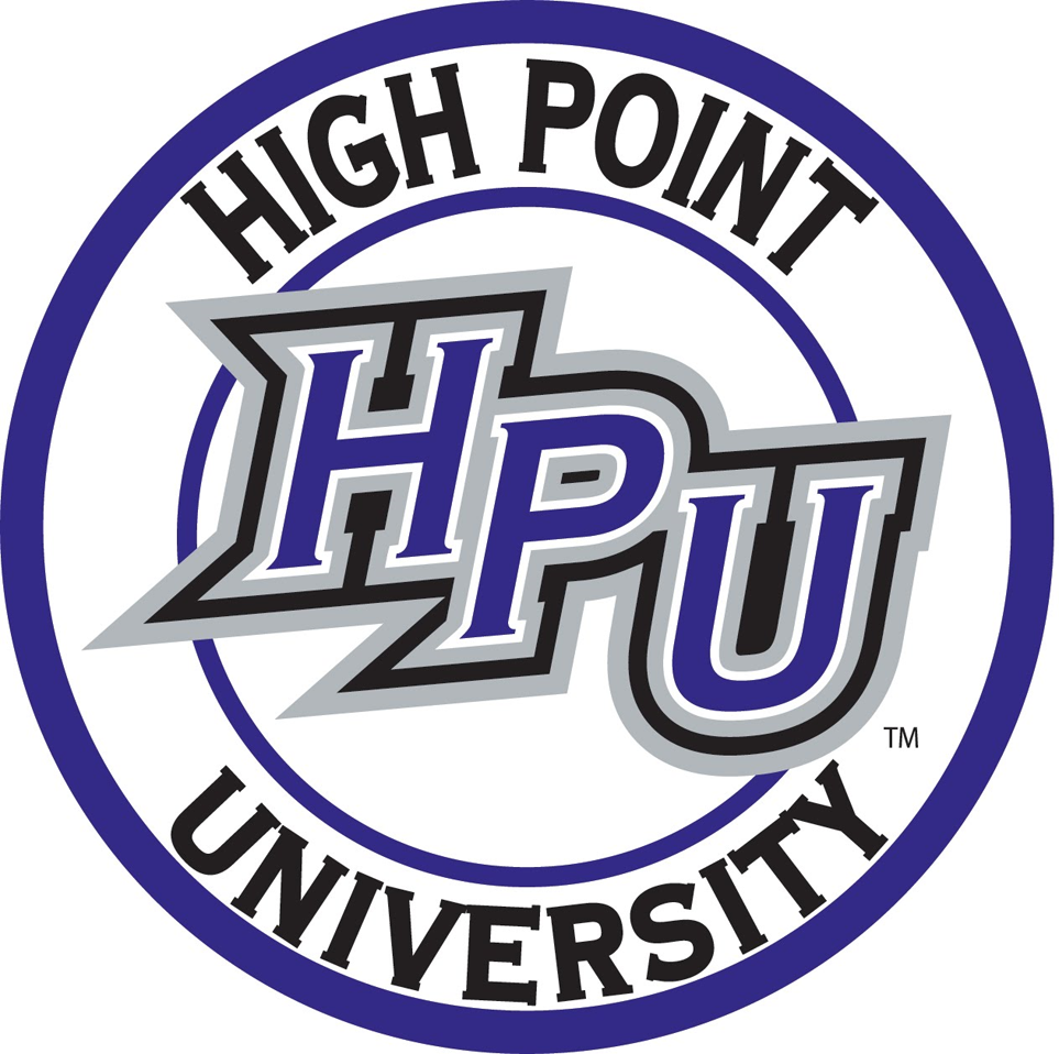 High Point Panthers 2004-Pres Alternate Logo v4 diy DTF decal sticker